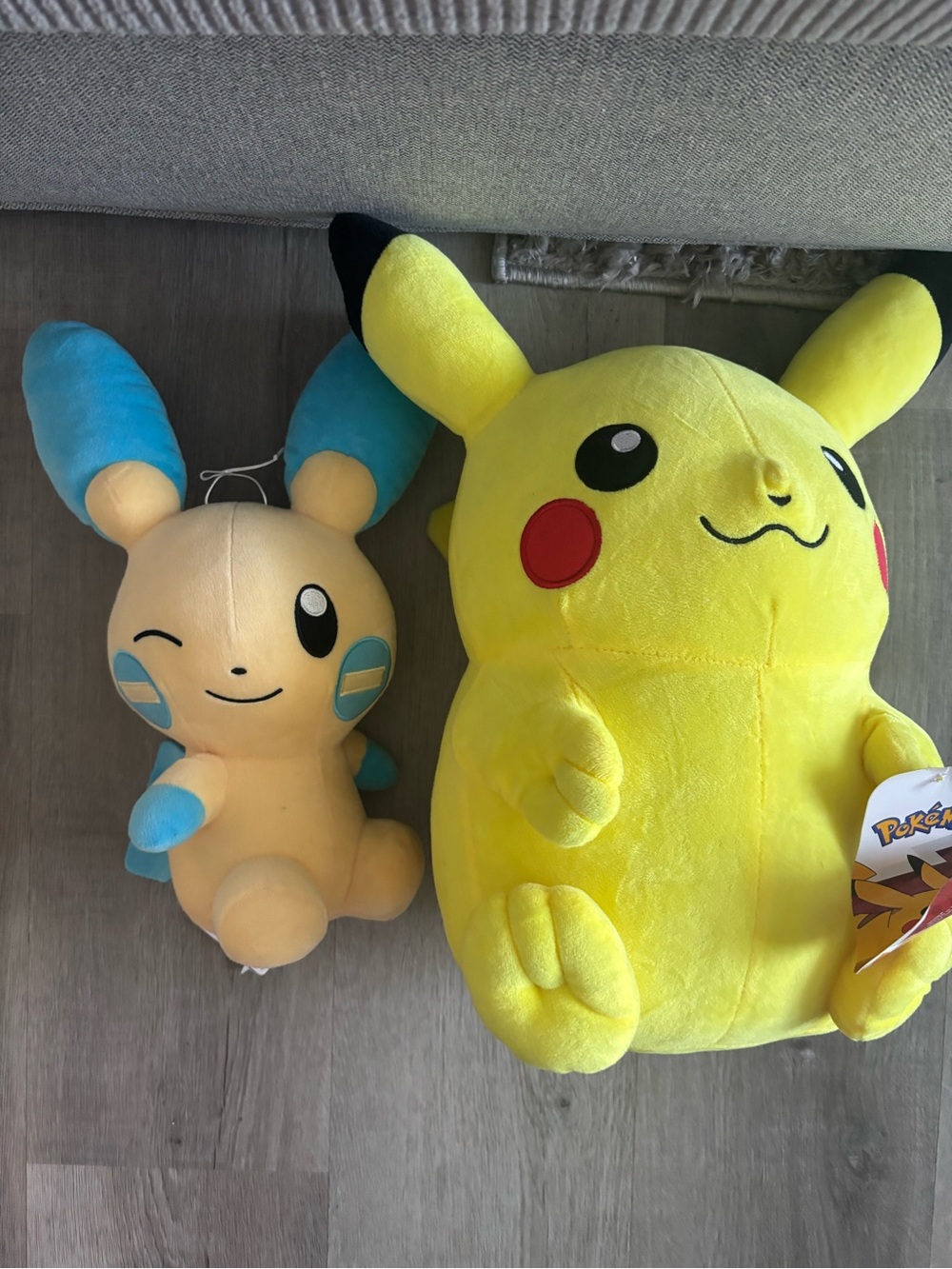 2 pokemon plush